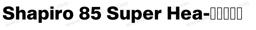 Shapiro 85 Super Hea字体转换